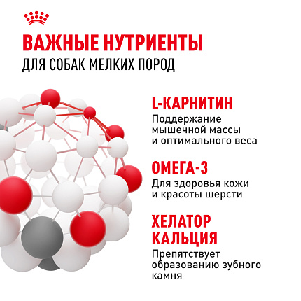 Cухой корм Royal Canin Mini Adult (МИНИ ЭДАЛТ) 8 кг